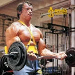 Arm Blaster - Schiek 2