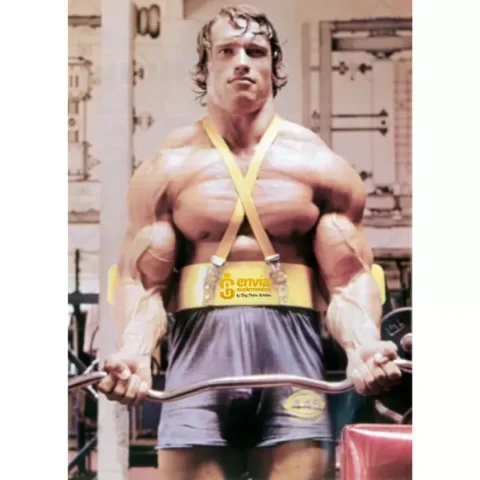 Arm Blaster - Schiek 24