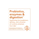 probioticos y digestion now foods banner