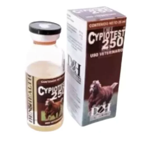 cyoiotest-den-and-health