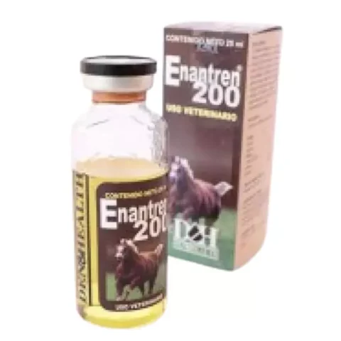 enantren-den-and-health