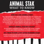 animal-m-stack-21-pack-universal-nutrition-hard-gainer-plateau-anabolico-natural-bodybuilder-powerlifter